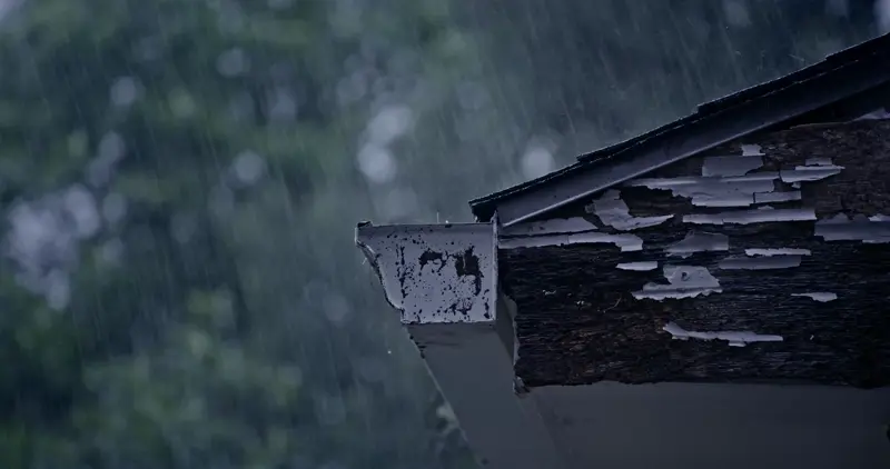 Rain overflowing from a clogged gutter causing erosion