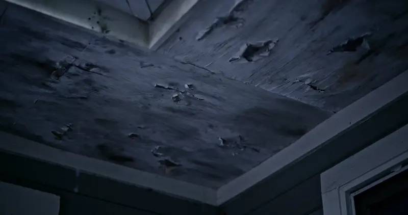 Water damage and rot on the soffit and fascia of a house